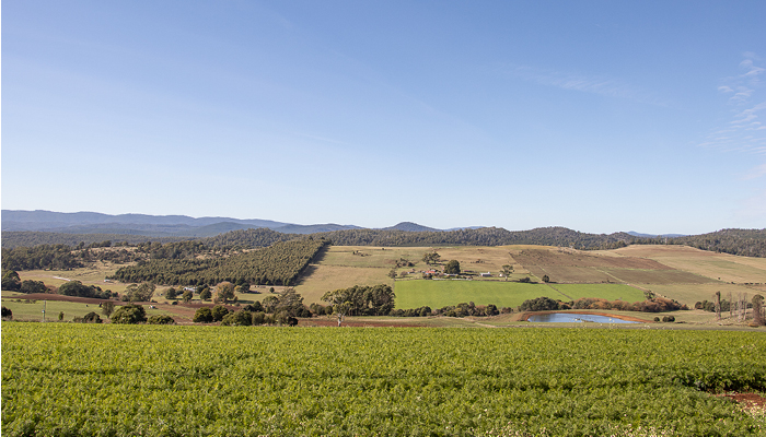 Photo of farm scenery