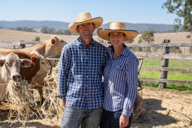 Man and woman standing in front of cattle