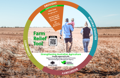 RIC Farm Relief Tool image